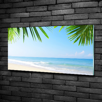 Tableau sur verre Plage tropicale palmiers