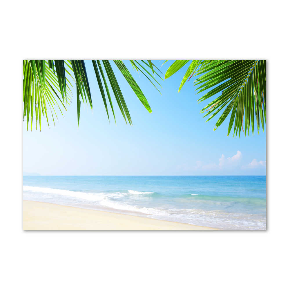 Tableau sur verre Plage tropicale palmiers