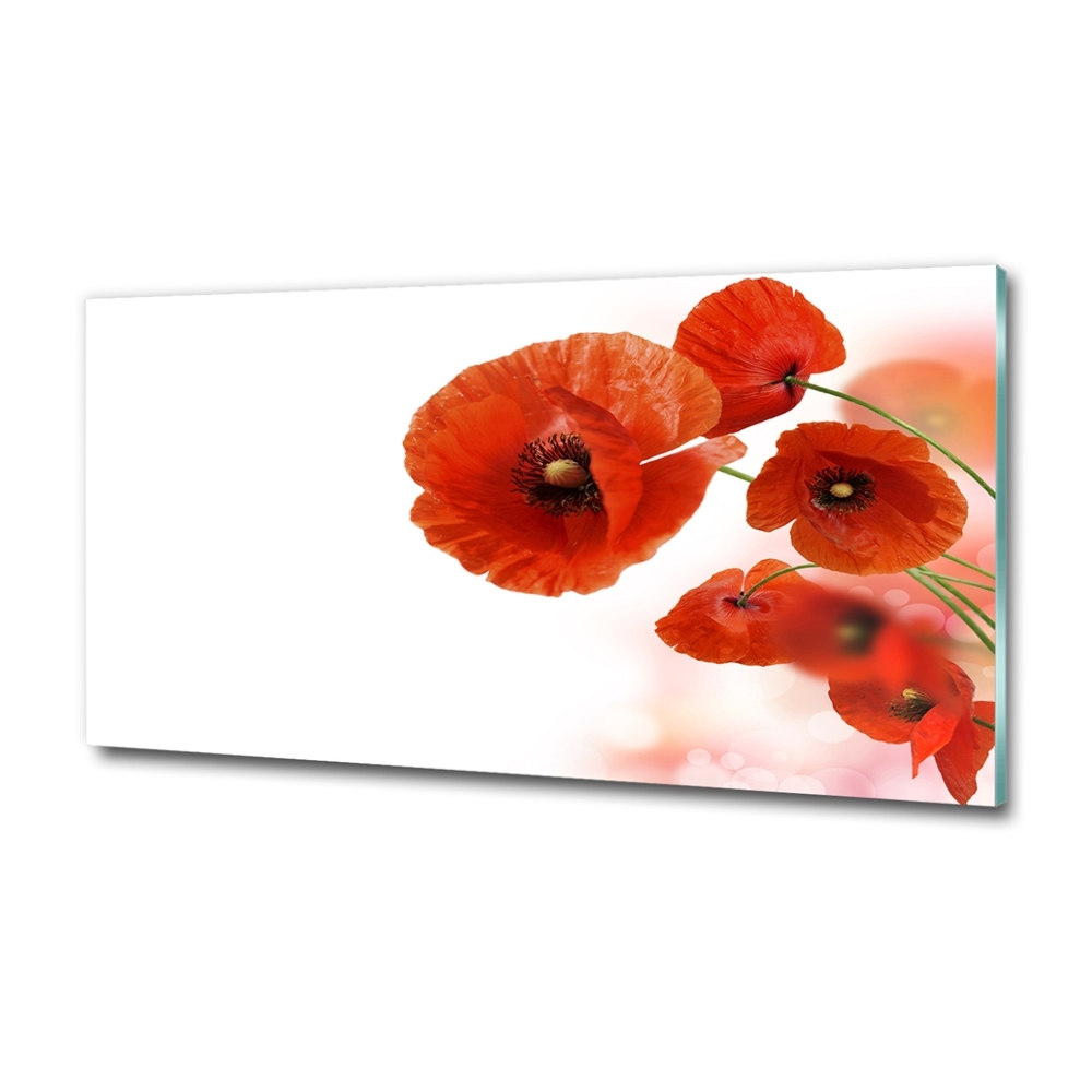 Tableau sur verre Coquelicots rouges