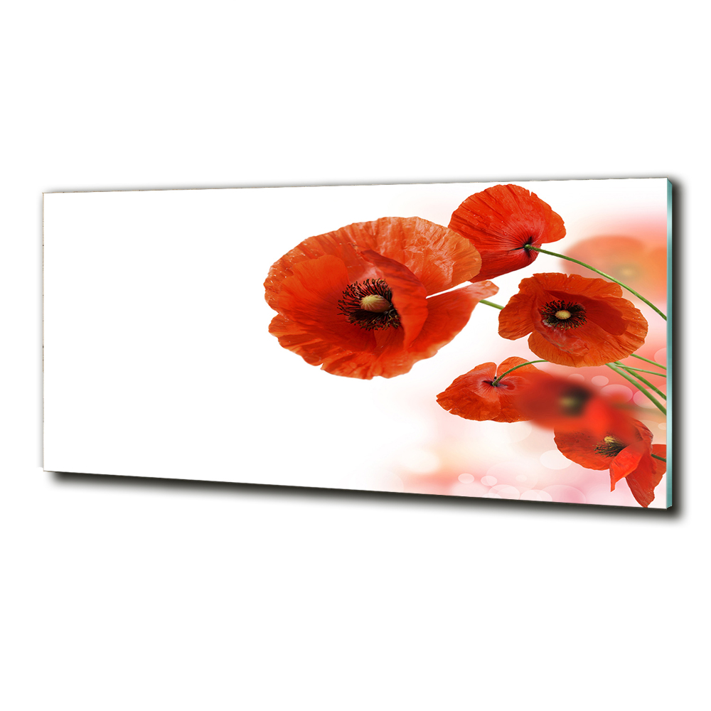 Tableau sur verre Coquelicots rouges