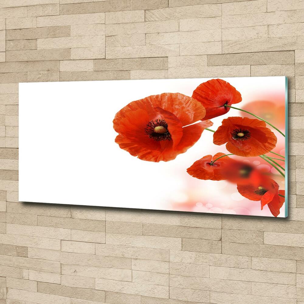 Tableau sur verre Coquelicots rouges