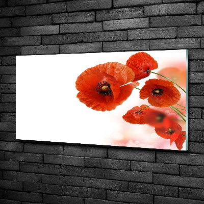 Tableau sur verre Coquelicots rouges