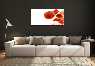 Tableau sur verre Coquelicots rouges