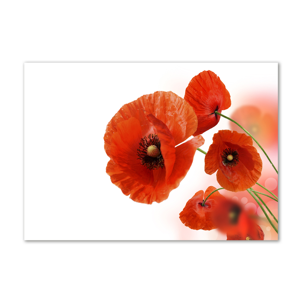 Tableau sur verre Coquelicots rouges