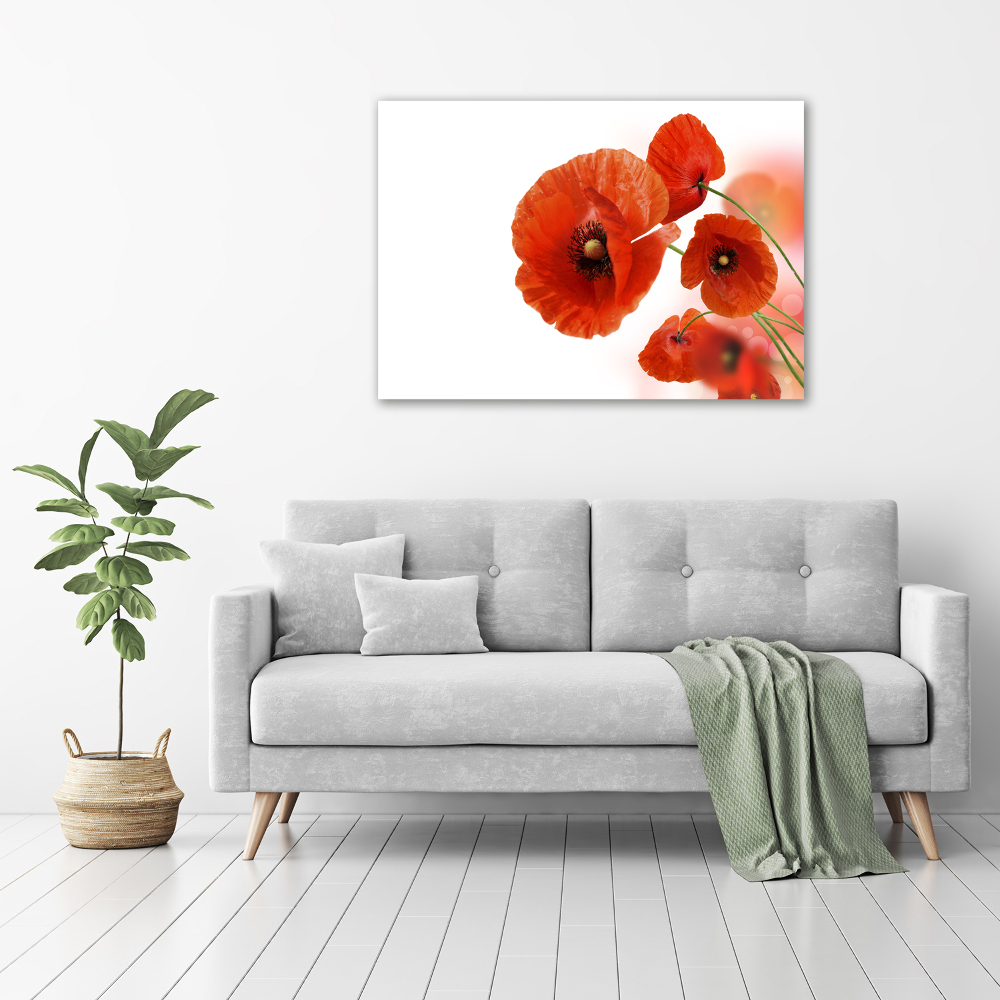 Tableau sur verre Coquelicots rouges