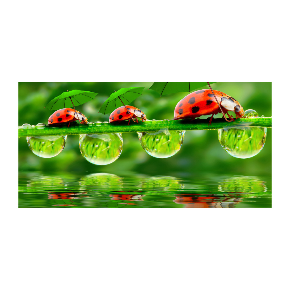 Tableau photo sur verre Coccinelles parapluies