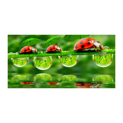 Tableau photo sur verre Coccinelles parapluies