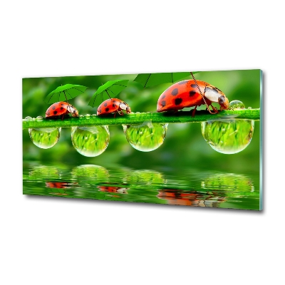 Tableau photo sur verre Coccinelles parapluies