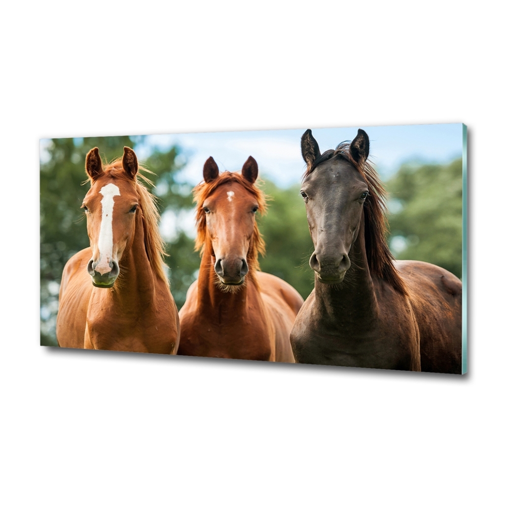 Tableau en verre Trois chevaux