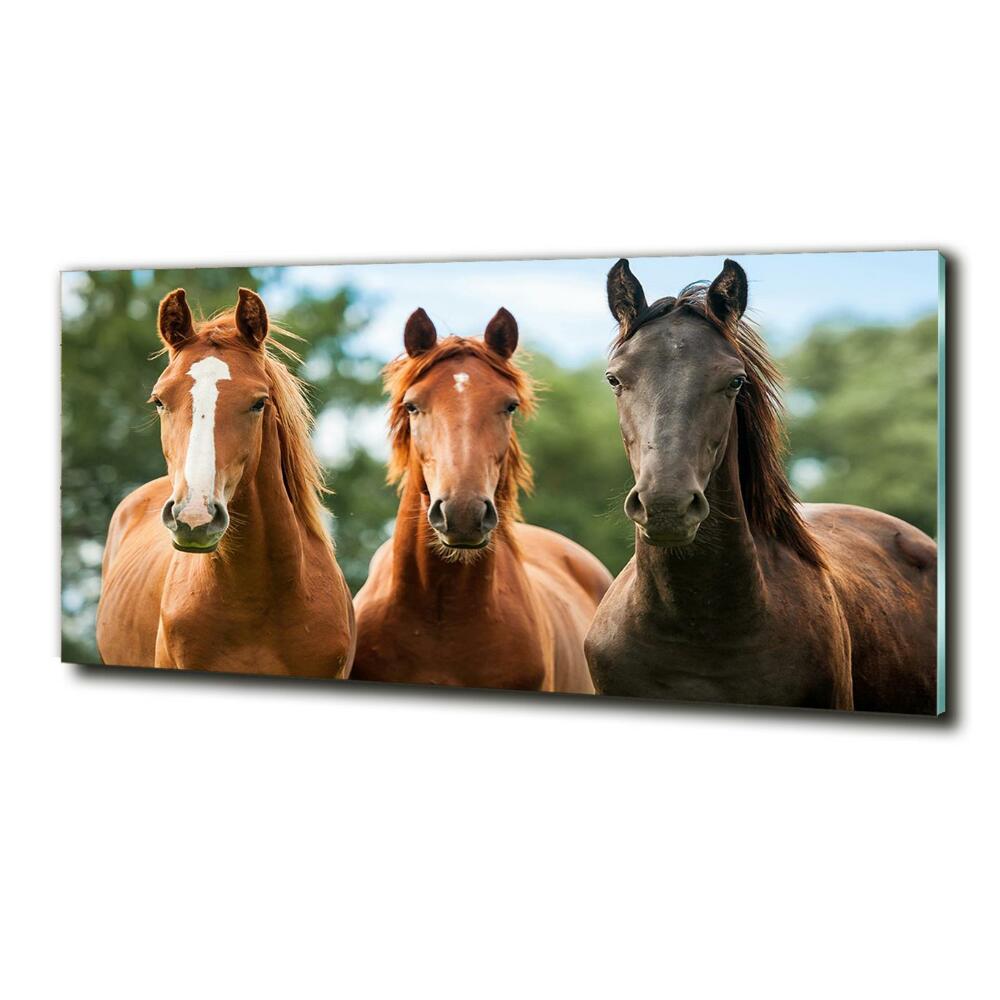 Tableau en verre Trois chevaux