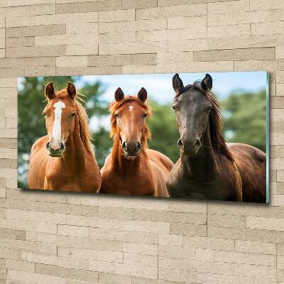 Tableau en verre Trois chevaux