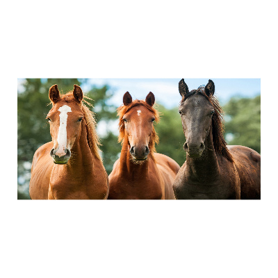 Tableau en verre Trois chevaux