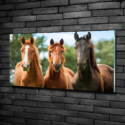 Tableau en verre Trois chevaux