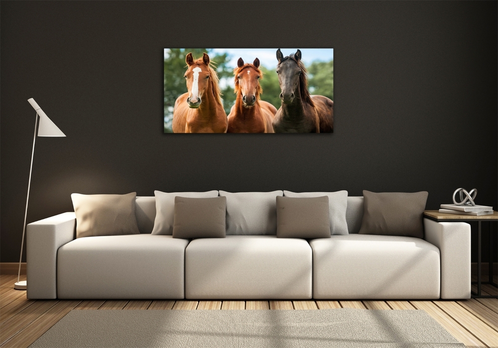 Tableau en verre Trois chevaux