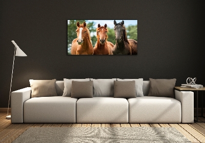 Tableau en verre Trois chevaux