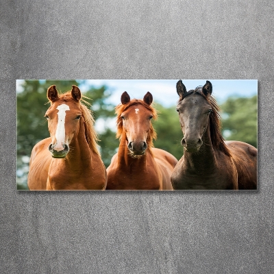 Tableau en verre Trois chevaux