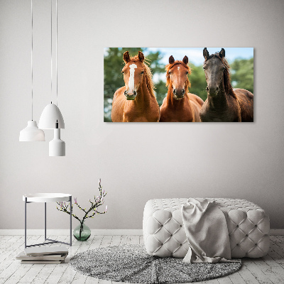 Tableau en verre Trois chevaux