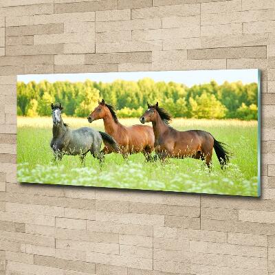 Tableau photo sur verre Chevaux au galop