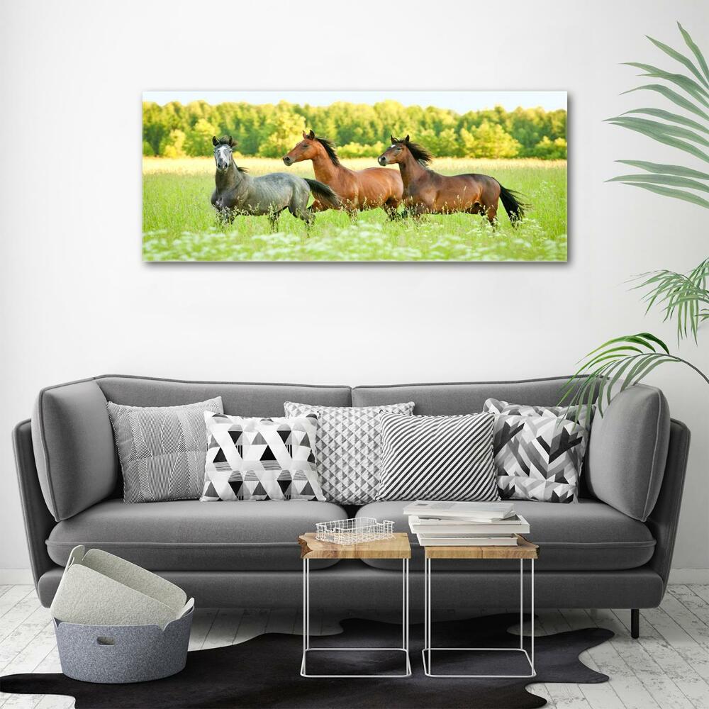 Tableau photo sur verre Chevaux au galop