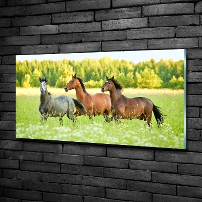 Tableau photo sur verre Chevaux au galop