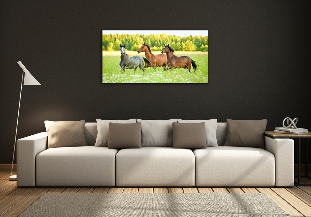 Tableau photo sur verre Chevaux au galop