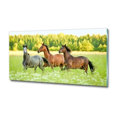 Tableau photo sur verre Chevaux au galop