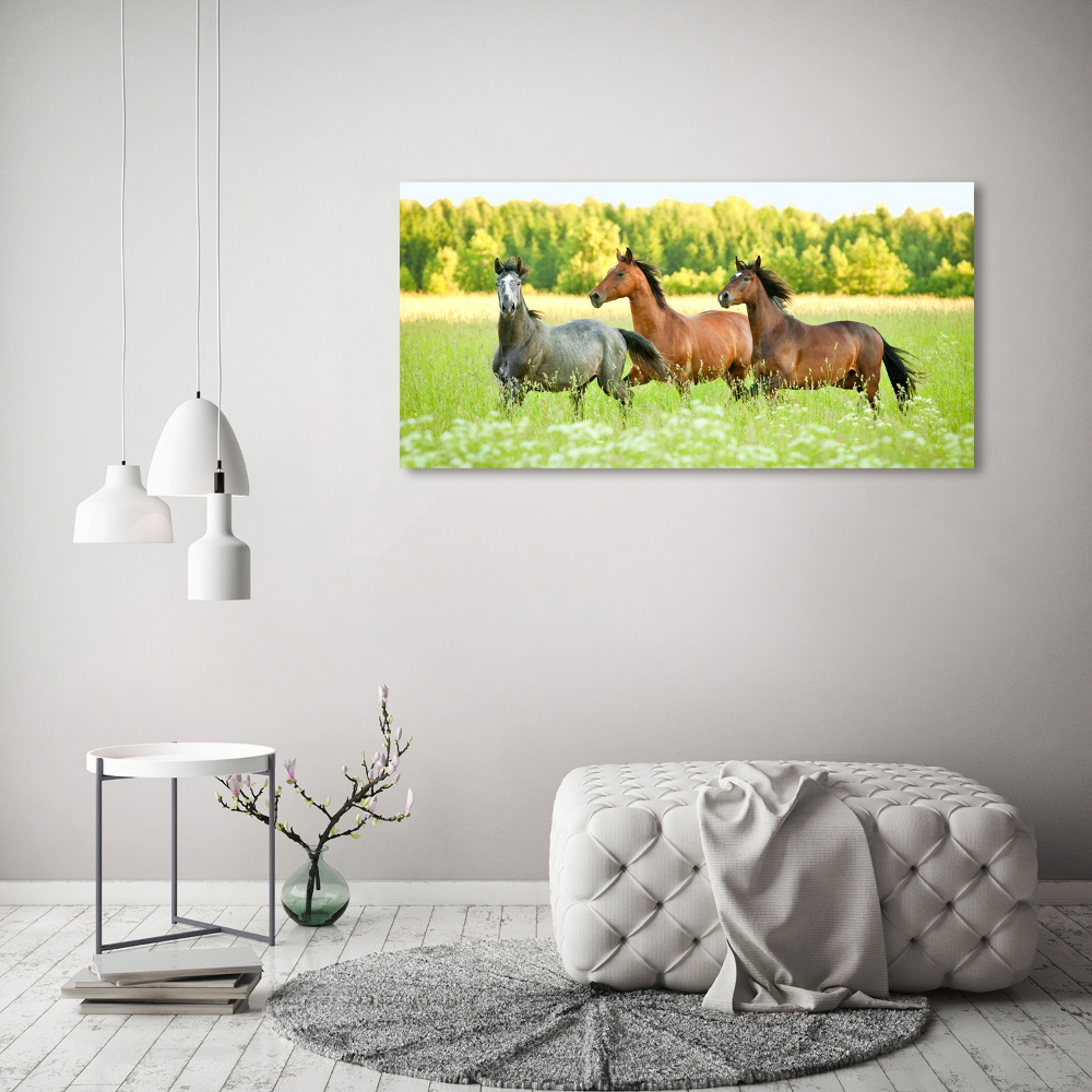 Tableau photo sur verre Chevaux au galop