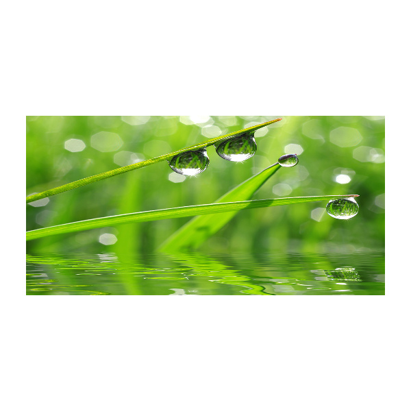 Tableau imprimé sur verre Gouttes sur l'herbe