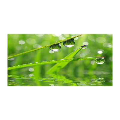 Tableau imprimé sur verre Gouttes sur l'herbe