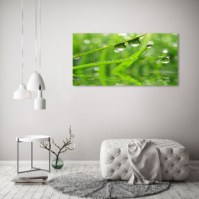 Tableau imprimé sur verre Gouttes sur l'herbe