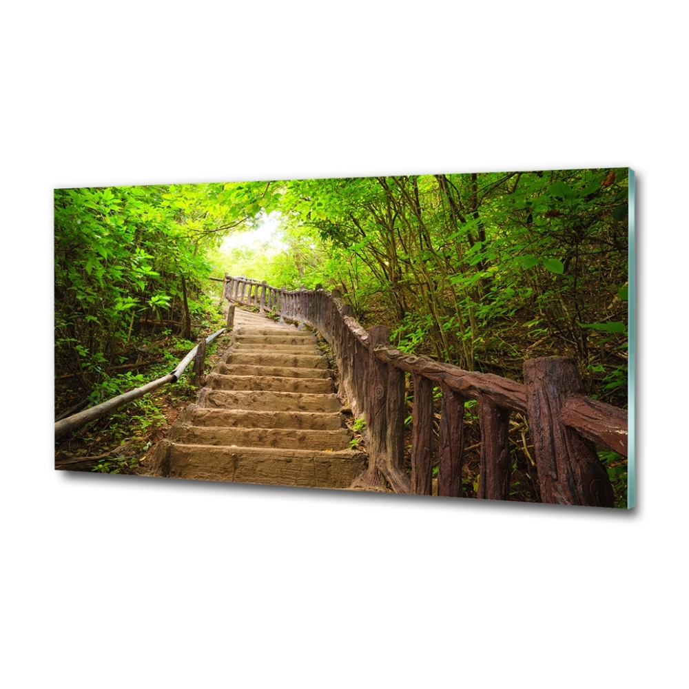 Tableau en verre Escalier dans la forêt