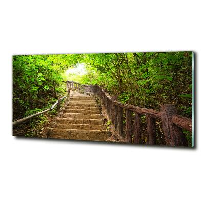 Tableau en verre Escalier dans la forêt