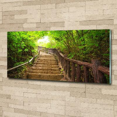 Tableau en verre Escalier dans la forêt