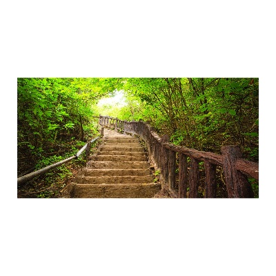 Tableau en verre Escalier dans la forêt