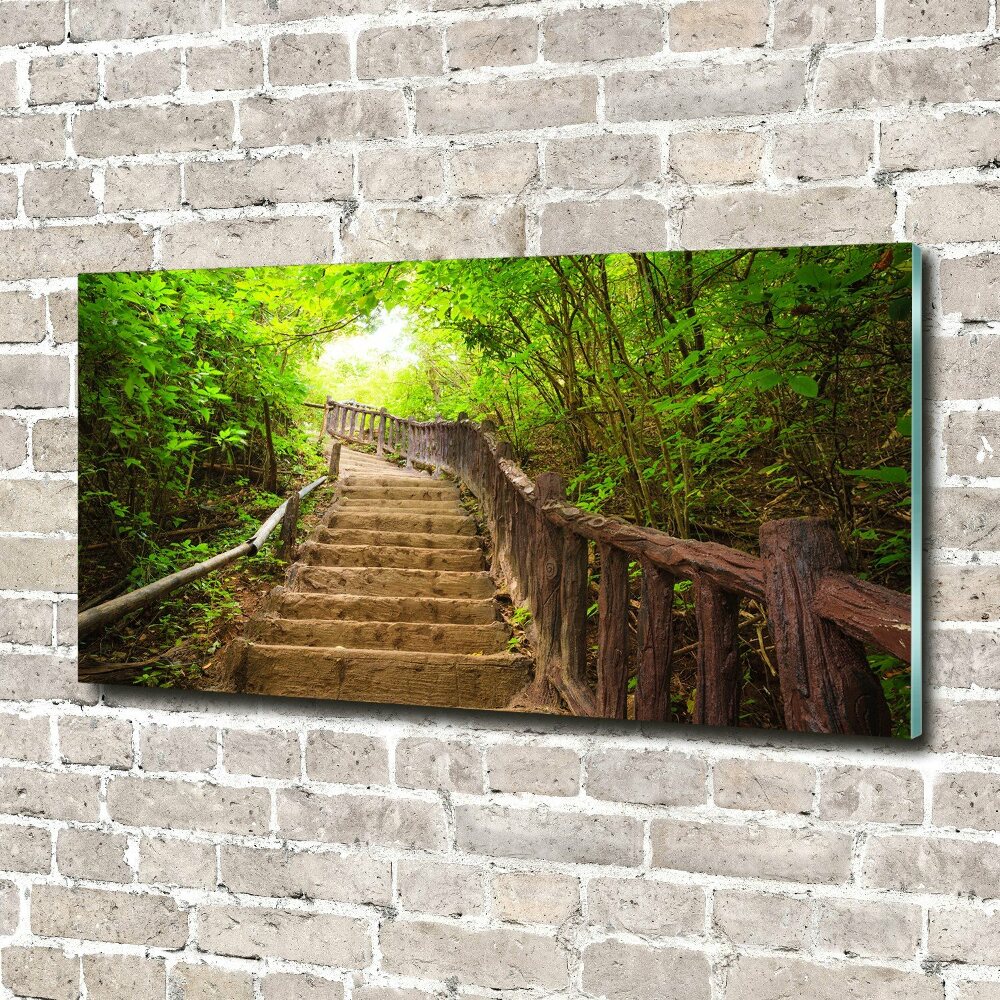 Tableau en verre Escalier dans la forêt