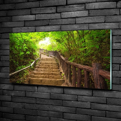 Tableau en verre Escalier dans la forêt