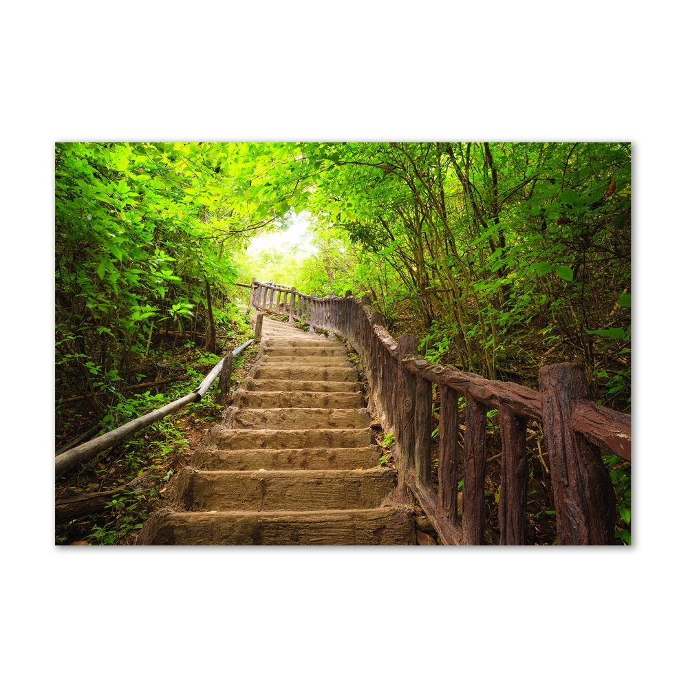 Tableau en verre Escalier dans la forêt