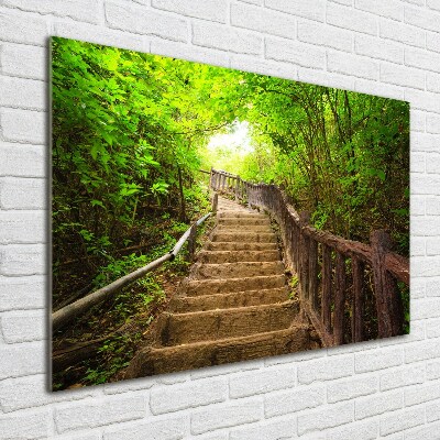 Tableau en verre Escalier dans la forêt