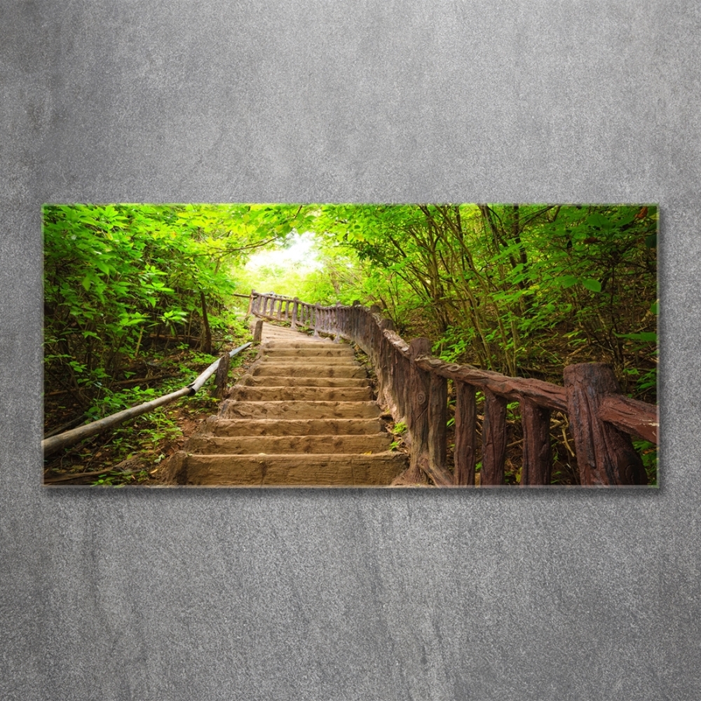 Tableau en verre Escalier dans la forêt