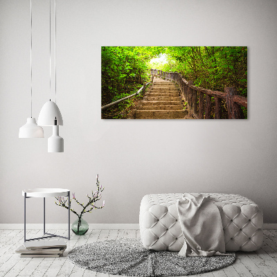 Tableau en verre Escalier dans la forêt