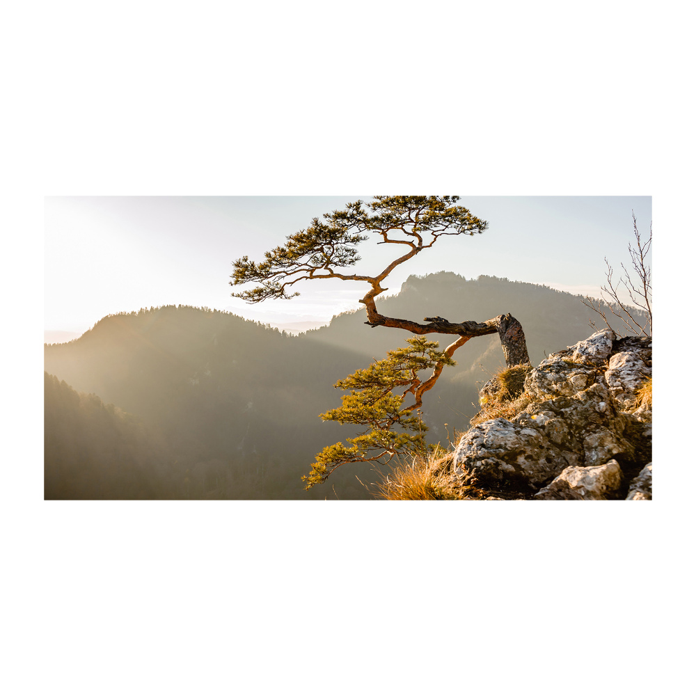 Tableau sur verre Sokolica Pieniny