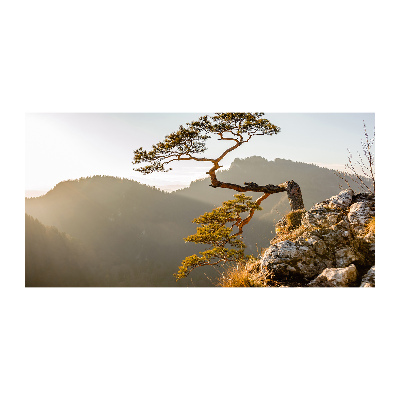 Tableau sur verre Sokolica Pieniny