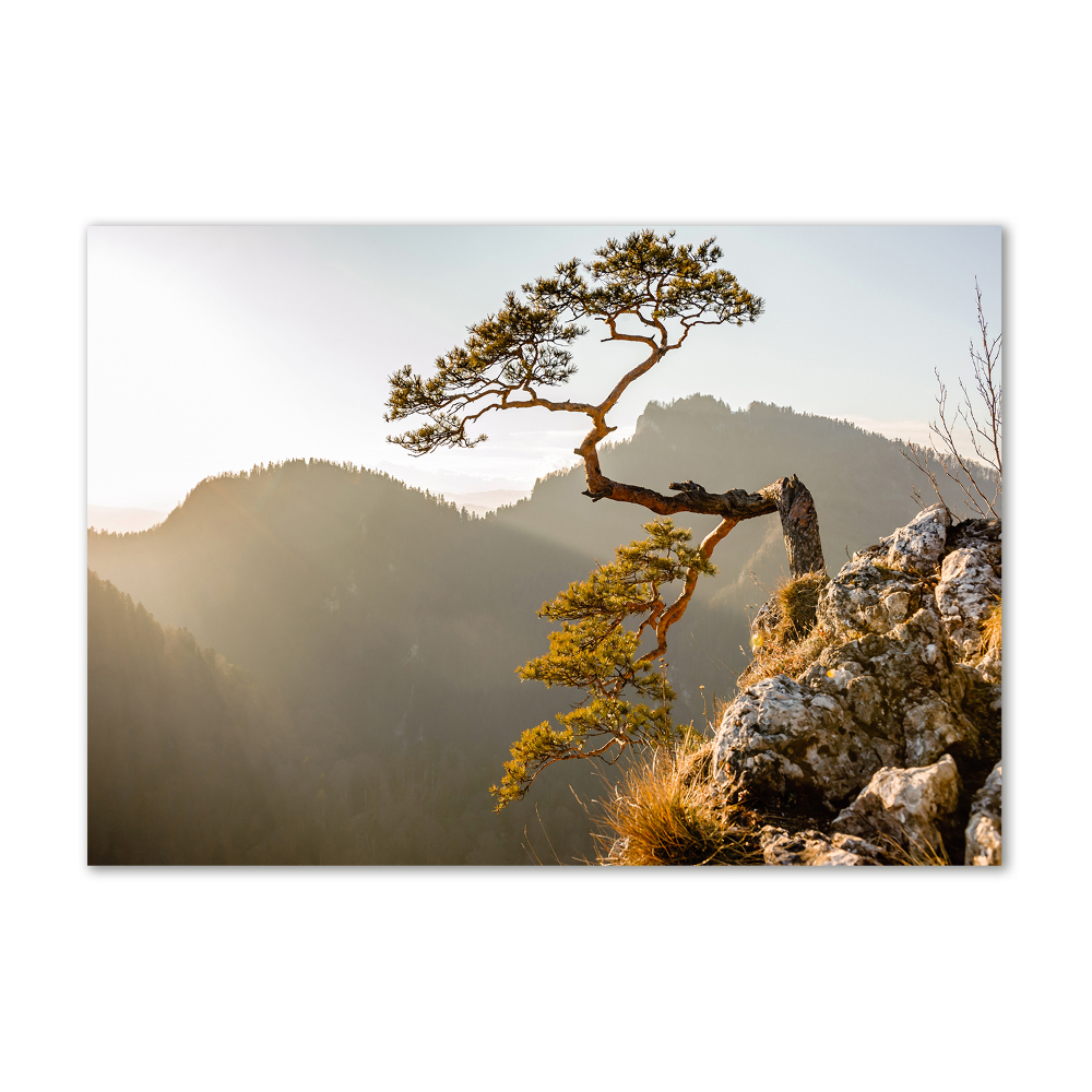 Tableau sur verre Sokolica Pieniny