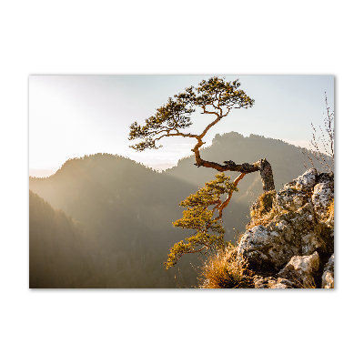 Tableau sur verre Sokolica Pieniny