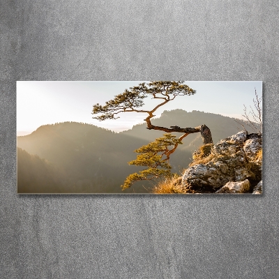 Tableau sur verre Sokolica Pieniny