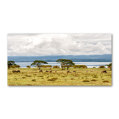 Tableau en verre Lac Naivasha