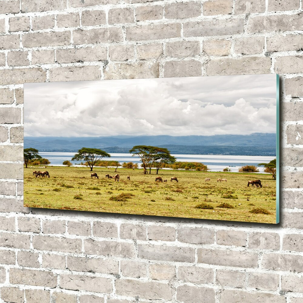 Tableau en verre Lac Naivasha