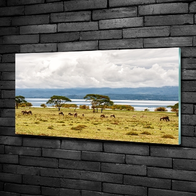 Tableau en verre Lac Naivasha