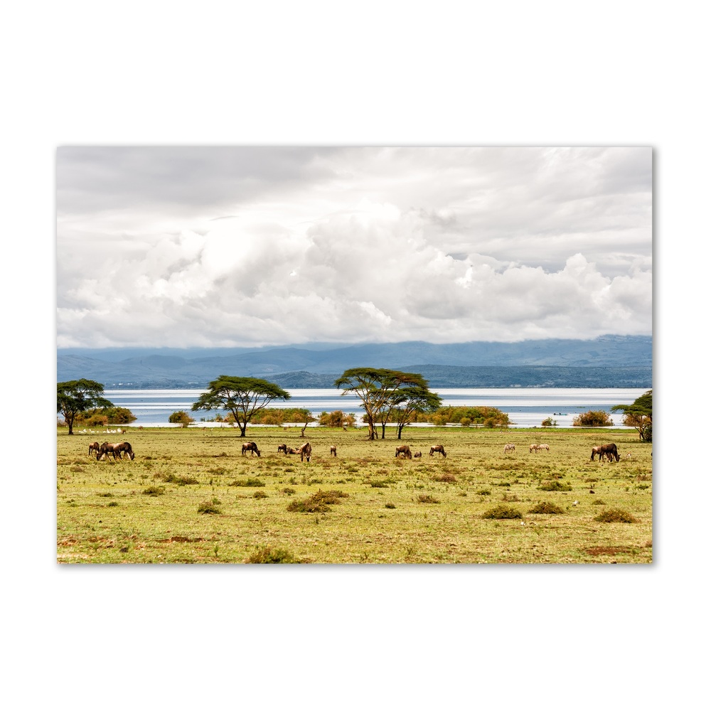 Tableau en verre Lac Naivasha