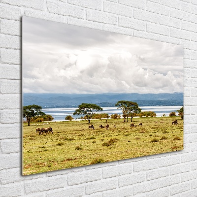 Tableau en verre Lac Naivasha